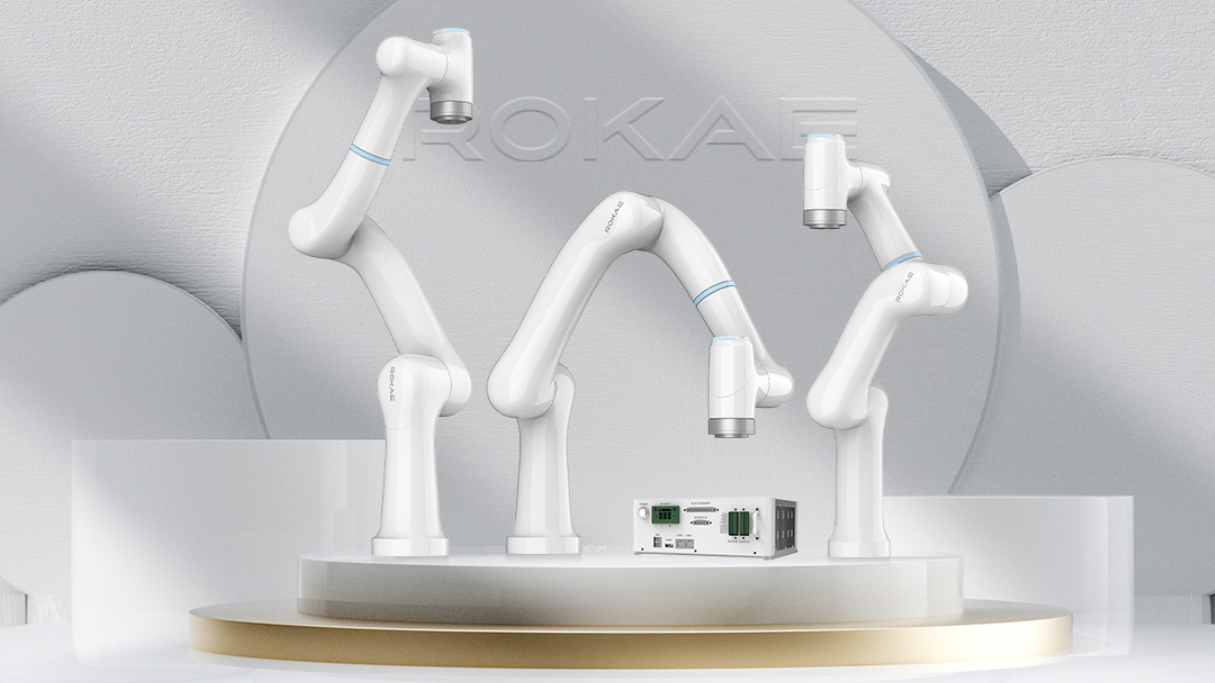 6-achsiger kollaborativer Roboter (Cobot) von Rokae